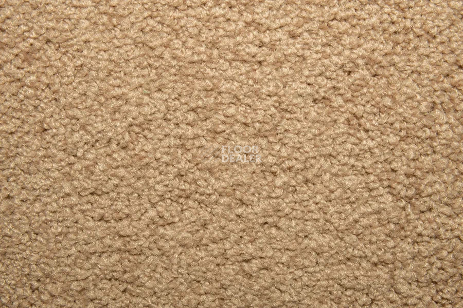 Vorwerk Superior 1065/Viola Vorwerk 7g75 фото 6 | FLOORDEALER